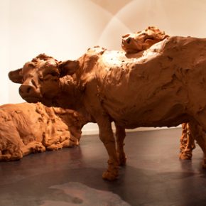 2-cows
